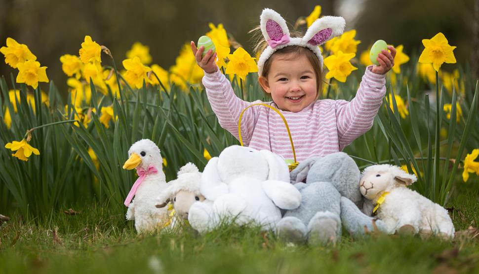 Easter Baby Bunny Photoshoot at Sir Harold Hillier Gardens