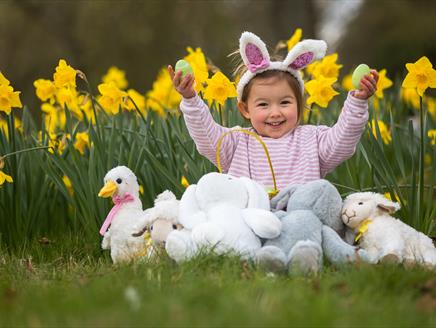 Easter Baby Bunny Photoshoot at Sir Harold Hillier Gardens