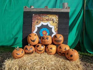 Halloween Pumpkin Shooting with New Forest Activities