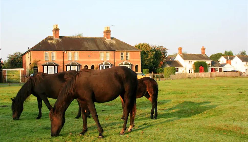 Waterley Cottage in the New Forest