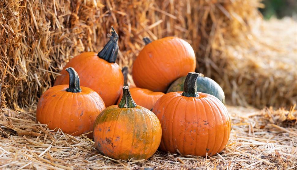 The Rotherwick Patch The Rotherwick Patch