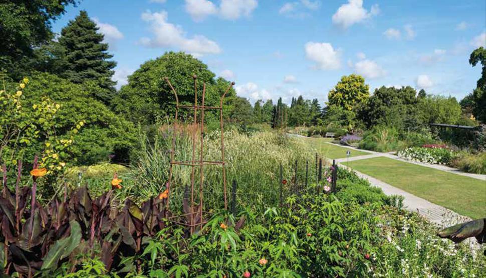 Outdoor Learning CPD at Sir Harold Hillier Gardens