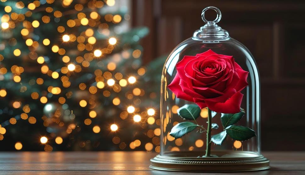 A rose in a bell jar and twinkly festive lights. A rose in a bell jar and twinkly festive lights.