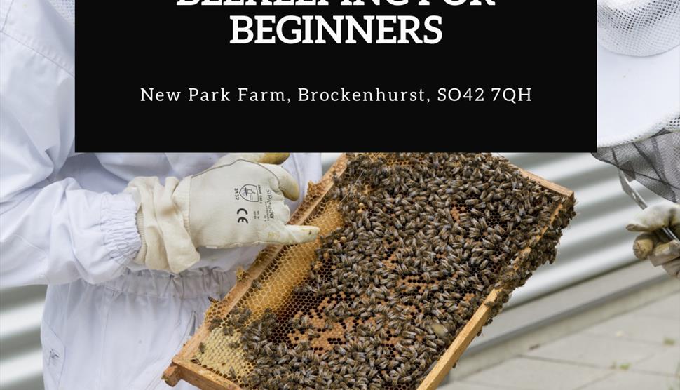 Beekeeping for Beginners