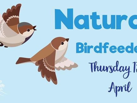 Natural Birdfeeders Workshop at Queen Elizabeth Country Park
