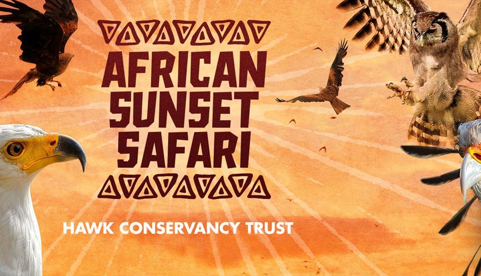 African Sunset Safari at the Hawk Conservancy Trust