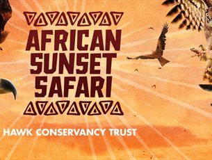 African Sunset Safari at the Hawk Conservancy Trust