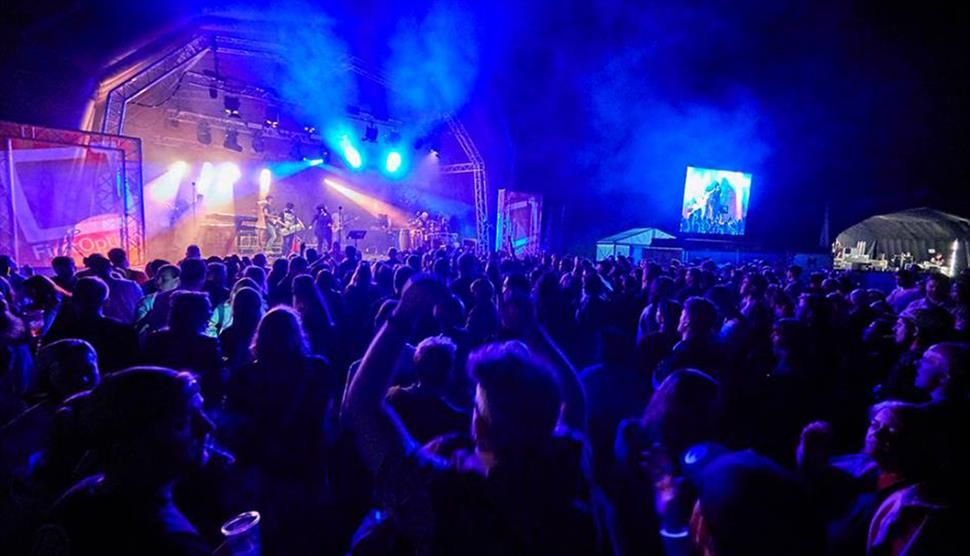 Alresford Music Festival 2019