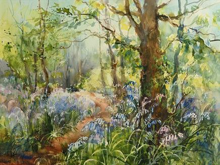 Painting a Bluebell Wood at Sir Harold Hillier Gardens