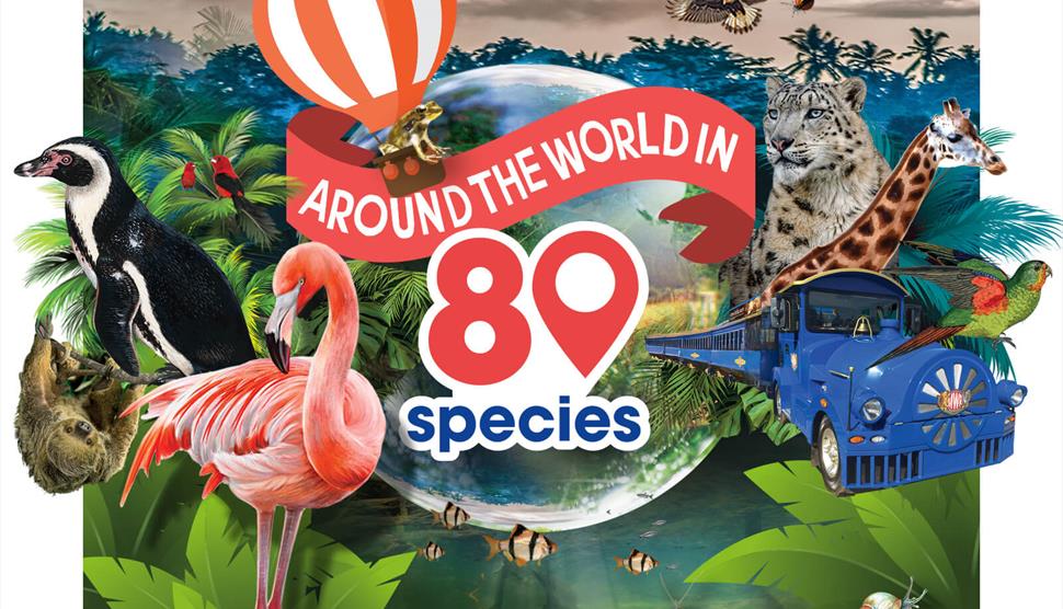 Marwell Around the World Event logo Marwell Around the World Event logo
