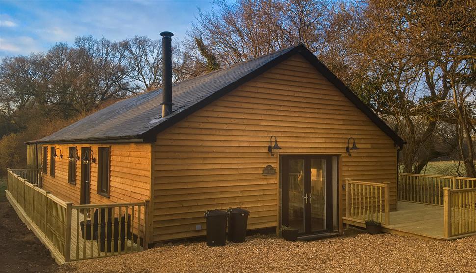 Barn Studio, New Forest National Park