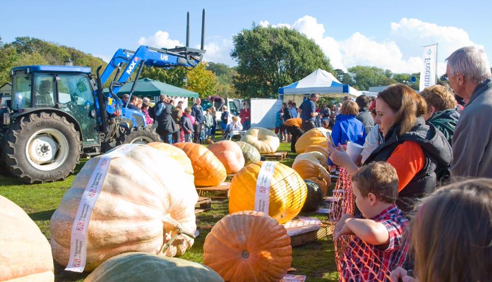 Autumn Pumpkin Festival