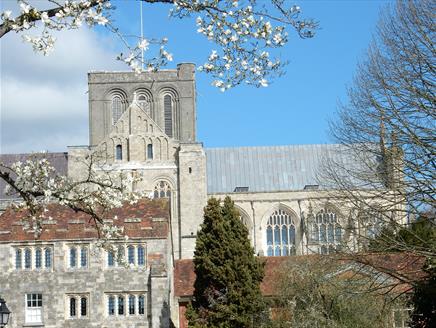 Curious About Winchester: Quirky Heritage Walks for the Curious!