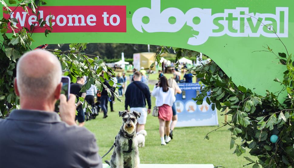 Dogstival in the New Forest