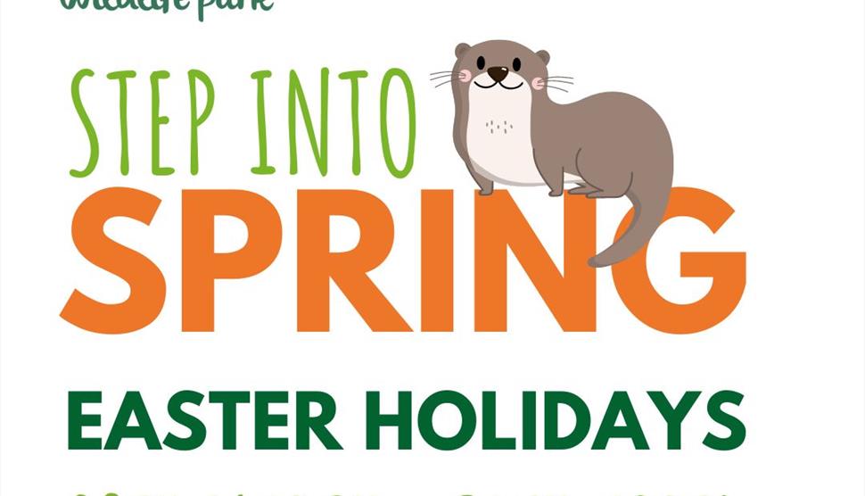 Step into Spring at New Forest Wildlife Park
