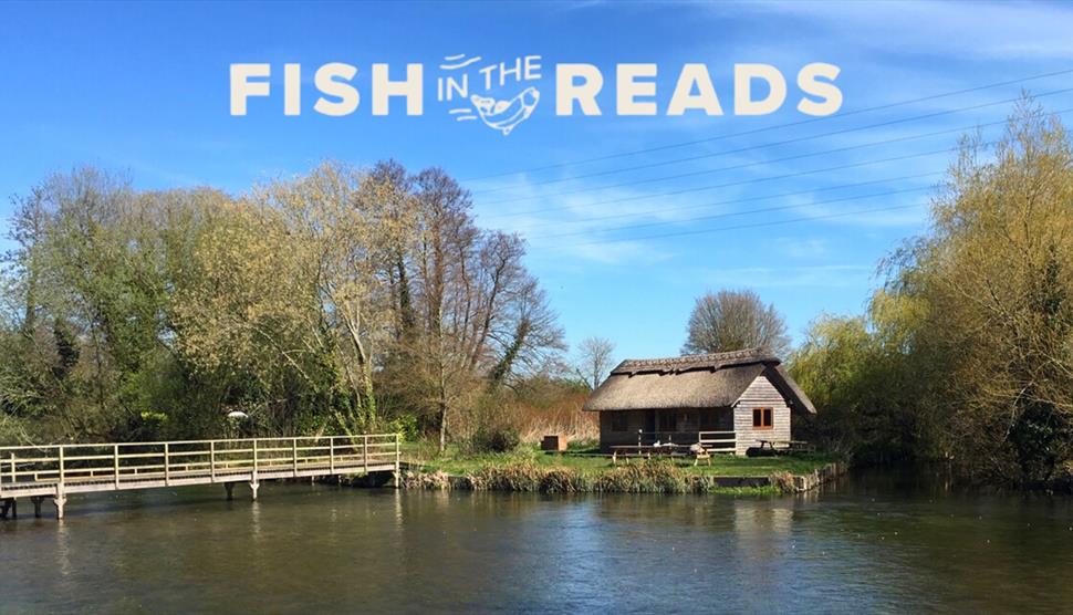 Orvis 'Fish in the Reads' Festival on the Riverbank
