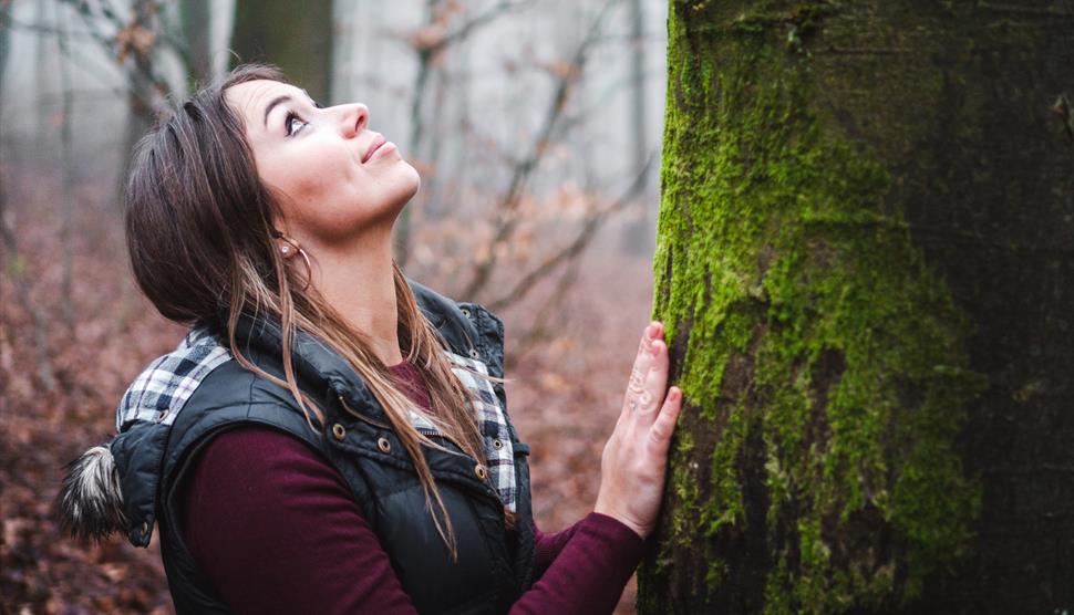 Forest Bathing at Sir Harold Hillier Gardens