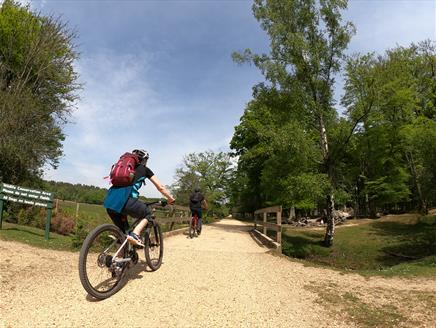 Cycle-Yin with New Forest Cycling Tours