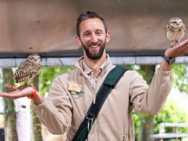 Owl's at the Hawk Conservancy Trust