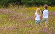 Children in wildflower meadow at the Hawk Conservancy Trust