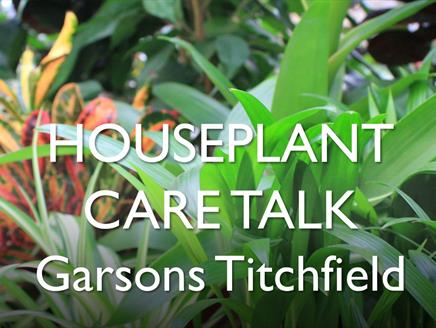 Houseplant Care Talk at Garsons Titchfield