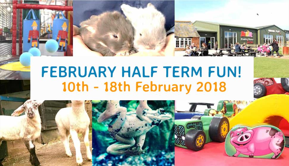 February Half Term at Finkley Down Farm
