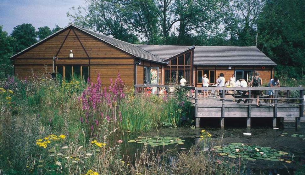 Hawthorns Wildlife Centre