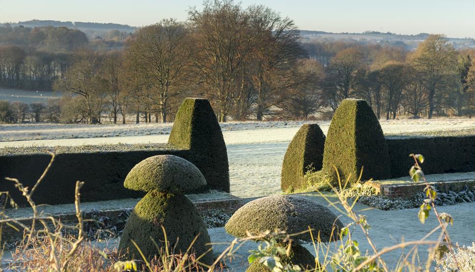 Hinton Ampner winter topiary and parkland