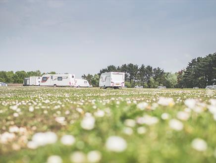 Holmsley Campsite, New Forest: Visit-Hampshire.co.uk
