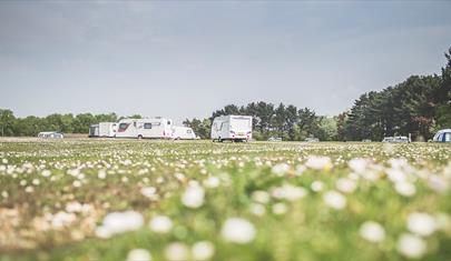 Holmsley Campsite, New Forest: Visit-Hampshire.co.uk
