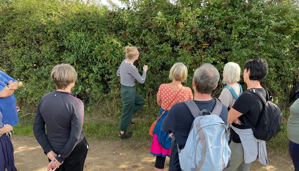 Foraging Workshop - April 2024 with Experience Hampshire