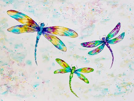 Dazzling Dragonflies: Watercolour Workshop at Gilbert White's House & Gardens