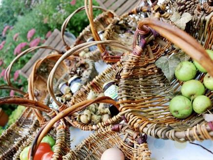By Popular Demand! Weave a Willow Foraging Basket at Gilbert White's House & Gardens