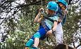 Girl taking part in high ropes course with New Forest Activities
