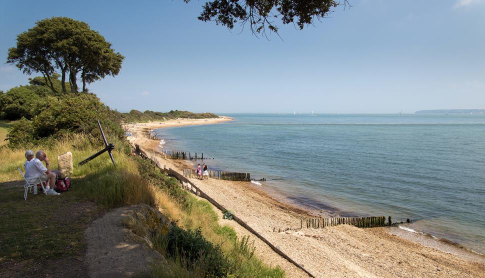 Bird Watching for Beginners at Lepe Country Park