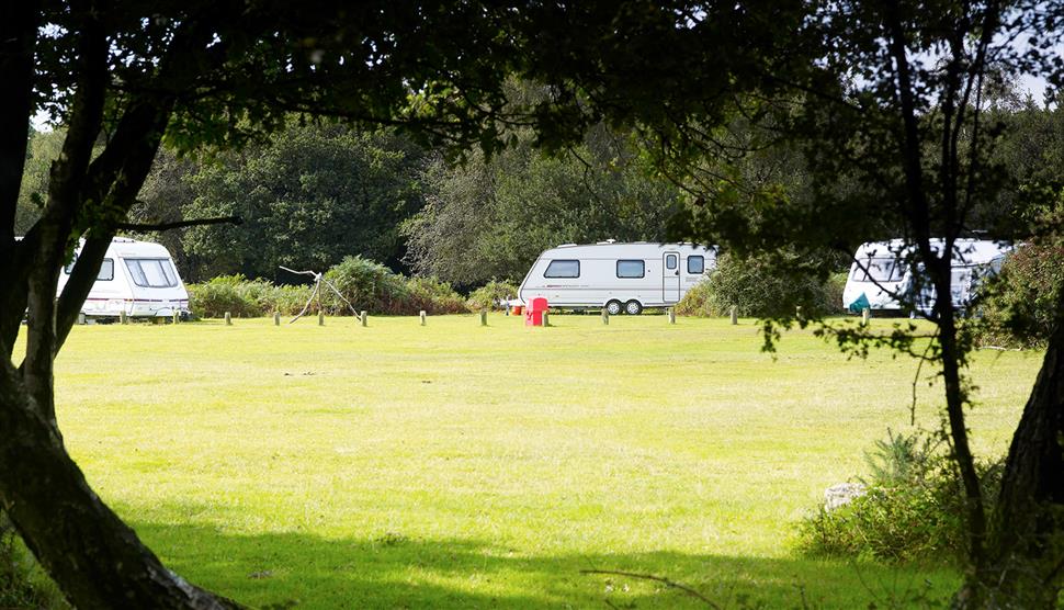 Matley Wood Campsite, New Forest: Visit-Hampshire.co.uk