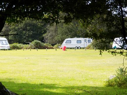 Matley Wood Campsite, New Forest: Visit-Hampshire.co.uk