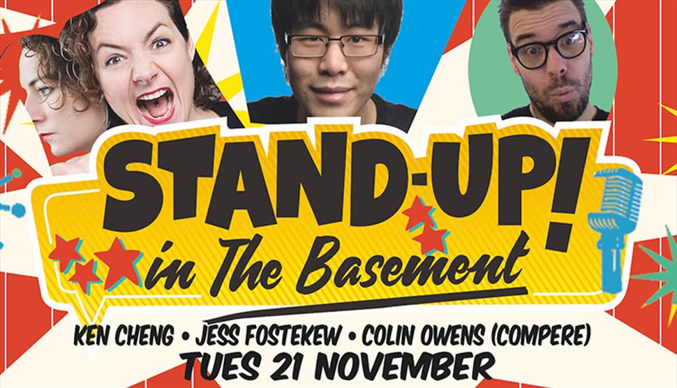 Stand Up in The Basement Comedy