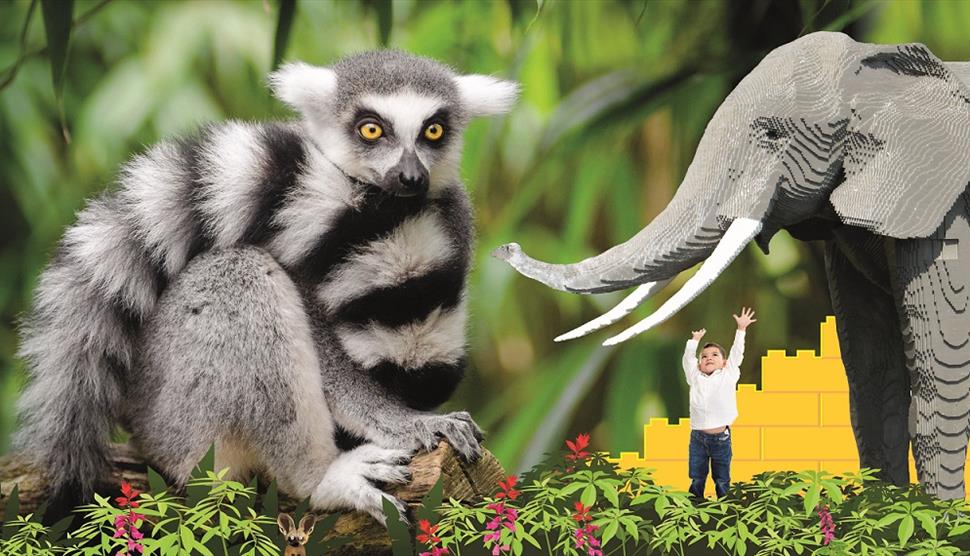 The Great Brick Safari: An Interactive Experience with LEGO® Bricks EXCLUSIVE to Marwell Zoo
