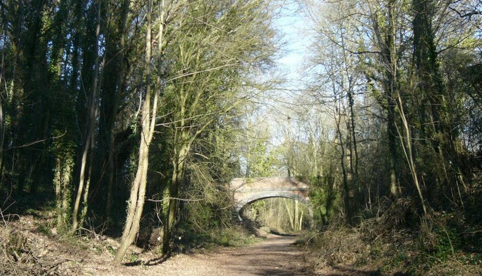 Cycle the Meon Valley Trail