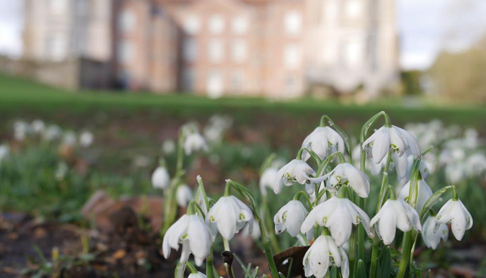 Mottisfont House in Winter with snowdrops in foreground
