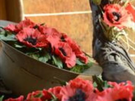 100 Years Remembering at Sir Harold Hillier Gardens