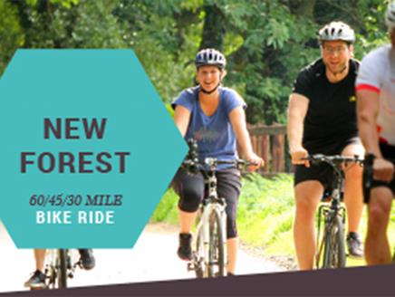 New Forest Bike Ride