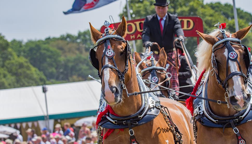 The New Forest and Hampshire County Show