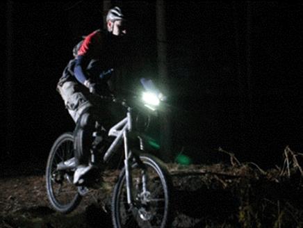 Halloween Family Night Cycle at Moors Valley Country Park