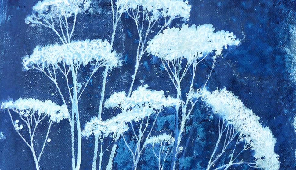 Cyanotype Art Solo Exhibition by PJ Preston at Gilbert White's House