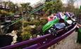 Paultons Park Roller Coaster