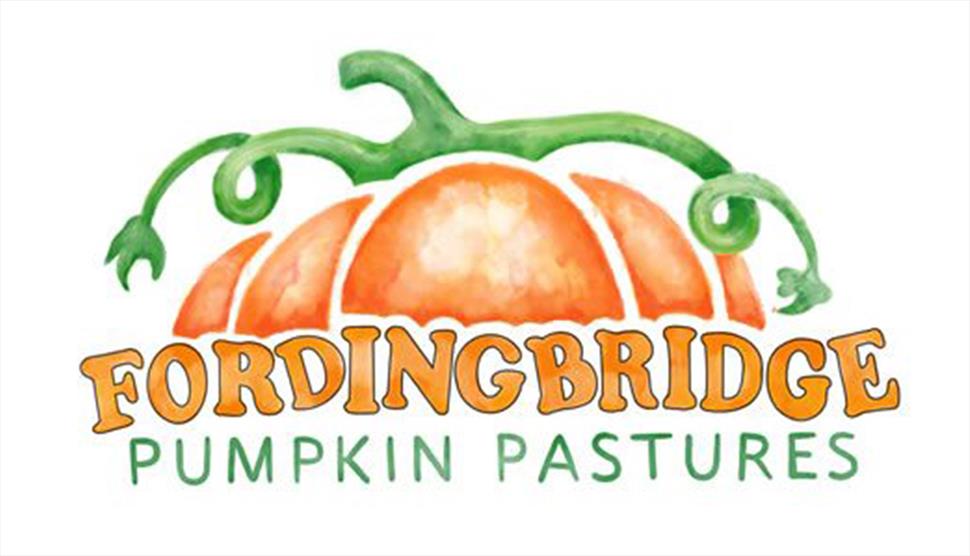 Fordingbridge Pumpkin Pastures Pumpkin Picking