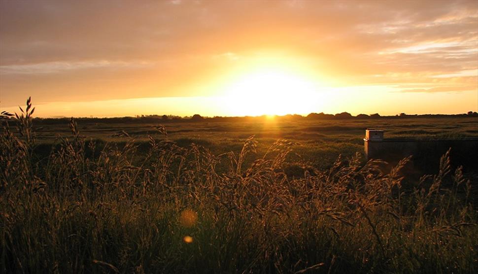 Farlington Marshes Wildlife Reserve