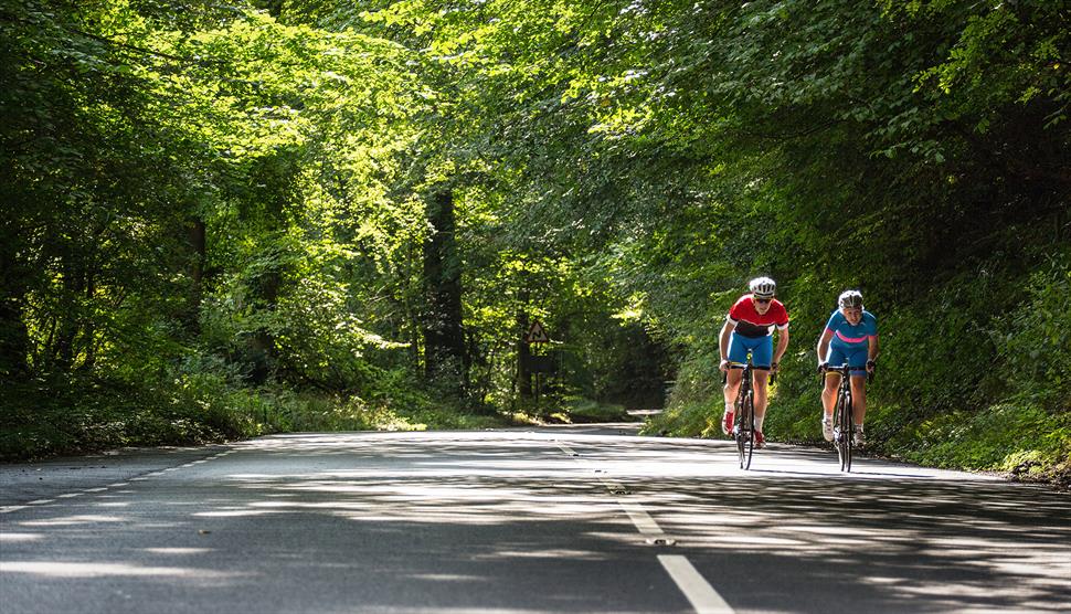 New Forest Road Loop Cycling Route